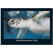 Vero Kalender Schildkrötenzauber 2026 Fotokalender DIN A5