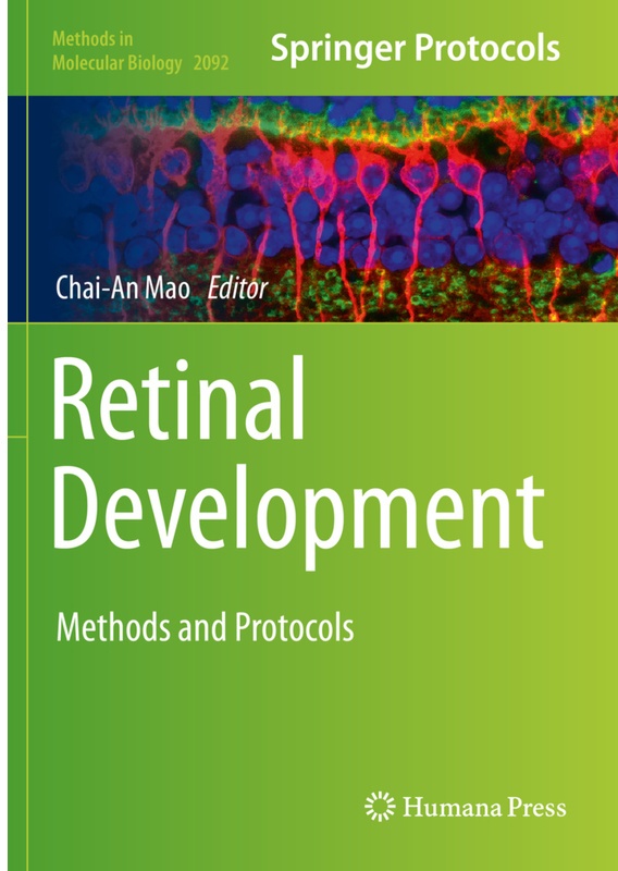 Retinal Development, Kartoniert (TB)
