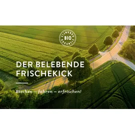 AllgäuQuelle Naturprodukte Allgäuquelle Auto Duftspray Allgäuer Erfrischung 2 St. 100 ml