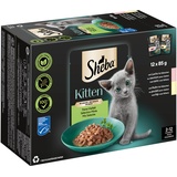 Sheba Kitten in Sauce Feine Vielfalt mit Lachs, Huhn) MSC 12x85 g