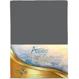 ASPERO Spannbettlaken Bio-Baumwolle-Jersey-Elasthan 90-100 x 200 cm grau