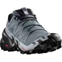 Salomon Speedcross 6 Gore-Tex Damen flint stone/black/heather 41 1/3