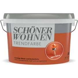 Schöner Wohnen Trendfarben Aperitivo Orange matt 1 l