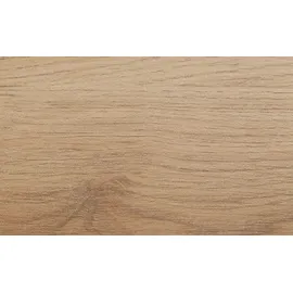 Sconto Einlegeböden 2er Set Birmingham 83 x 2,2