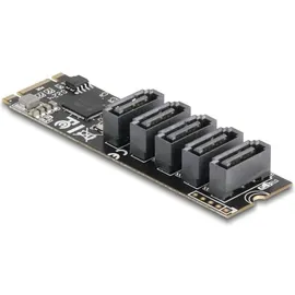 DeLock M.2 2280 Key B+M Kontroller zu 5 x SATA