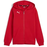 Puma Jungen Teamgoal Casuals Kapuzenjacke Jr Schweiß, Puma Red-puma White, 164 EU