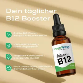 vegan drops Vitamin B12 Tropfen 250 St.