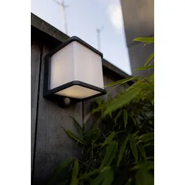 Lutec LED Außenleuchte Solar Doblo 11 x 11 cm 8 W Bewegungsmelder