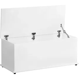 Homcom Sitzbank Aufbewahrungsbox Weiß 100 x 40 x 40 cm