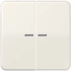 Jung Wippe_2t Schalter weiß glänzend CD 595 KO5