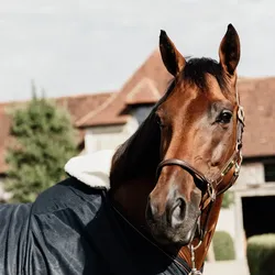 Kentucky Horsewear BIB Widerristschutz mit künstlichem Fell - Natur