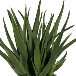 CREATIV green künstliche Pflanze Aloe, ca 44cm