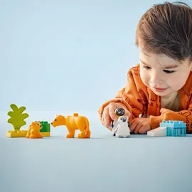 LEGO DUPLO - Wildtier-Familien: Pinguine und Löwen (10442)