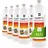 Höfer Chemie Bioethanol 96,6% Premium 1 l 6 St.