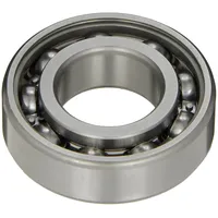 SKF 6205