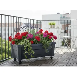 KHW Bewässerungsblumenkasten Calypso 79 x 34 x 33 cm anthrazit inkl. Rollen