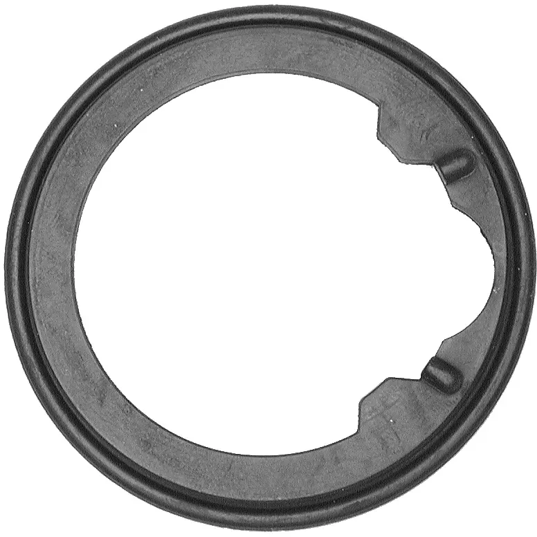 FACET Dichtung, Thermostat 79628 für HONDA