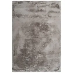 Teppich  EMOTION - taupe