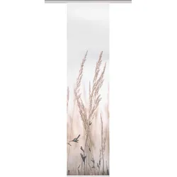 Schiebegardine VISION S "SCHIEBEVORHANG DIGITALDRUCK BAMBUS-OPTIK 'RELVA'", beige (natur), B:60cm H:260cm, Polyester, Gardinen, DIGITALDRUCK - INDIVIDUELL KÜRZBAR