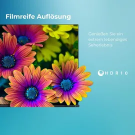 Toshiba QLED Fernseher 65 Zoll Smart TV, VIDAA 4K UHD HDR, Triple-Tuner, 65QV2363DA