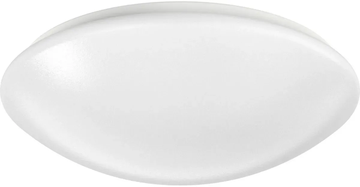Ridi-Leuchten LED-Anbauleuchte RUFO2 290ND #0420859