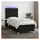 vidaXL Boxspringbett 100 x 200 cm Schwarz