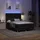 vidaXL Boxspringbett 160 x 200 cm Schwarz