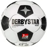 derbystar 2. Bundesliga Brillant APS v24 24/25