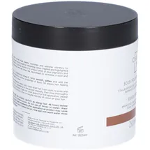 Christophe Robin Shade Variation Mask Ash Brown Maske 250 ml
