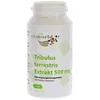 Tribulus Terrestris Extrakt 500 mg Kapseln 100 St.