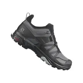 Salomon X Ultra 4 GTX Herren Magnet/Black/Monument 40 2/3