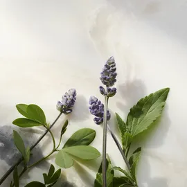 RITUALS The Ritual of Namaste Glow Anti-Ageing Serum 30 ml