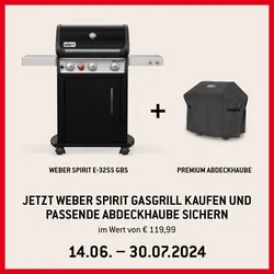 Weber Gasgrill SPIRIT E-325S GBS - Black