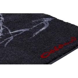 GRUND Colani 23 60 x 100 cm anthrazit