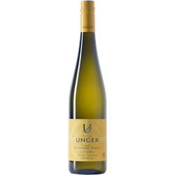 Grüner Veltliner Ried Hintere Point Petra Unger 2020