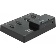 DeLock USB-C - 4x M.2 NVMe PCIe, USB 3.1