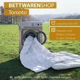 BettwarenShop Daunendecke Toronto extra warm, 10 cm Innensteg, Füllung: 90% Daunen 10% Federn 135x200 cm