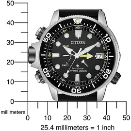 Citizen BN2036-14E