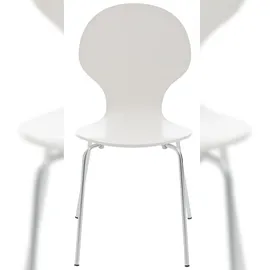 CLP Diego 2 St. weiß