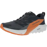 Salomon Herren Sense Ride 5 GTX Schuhe (Größe 45 , grau)