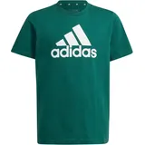 Adidas Essentials Big Logo Cotton T-Shirt Gr. 140 - collegiate green/white