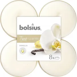 Bolsius Duftteelichter Maxi 1,17 cm Ø 4,5 cm 6 St. beige/weiß