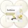 Bolsius Duftteelichter Maxi 1,17 cm Ø 4,5 cm 6 St. beige/weiß