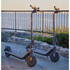Segway Ninebot Kickscooter E2 D schwarz