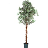 PLANTASIA Kunstpflanze Olivenbaum 180 cm,