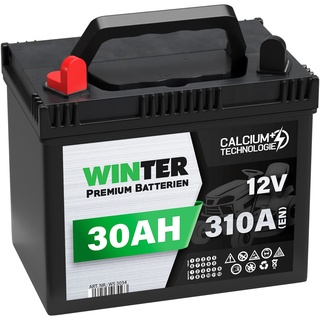 Winter Premium Rasentraktor Batterie 12V 30Ah 310A/EN (Plus Pol Links) 53034 Aufsitzmäher Rasenmäher