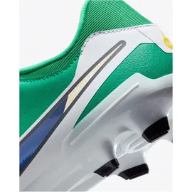 Nike Tiempo Legend 10 Academy FG Herren Stadium Green/Dark Obsidian 43