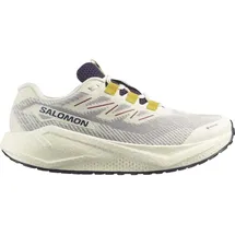 Salomon Aero Blaze 3 Herren Beige / Grau 42