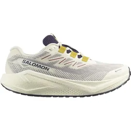 Salomon Aero Blaze 3 Herren Beige / Grau 42