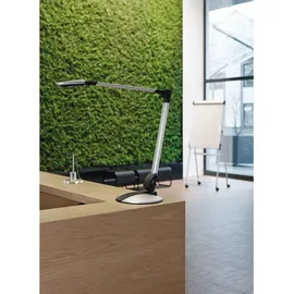 Maul MAULoptimus Silber